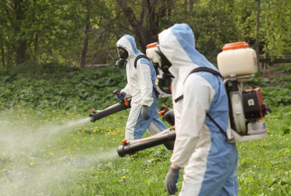 ФОТО Уничтожение клопов в Северском