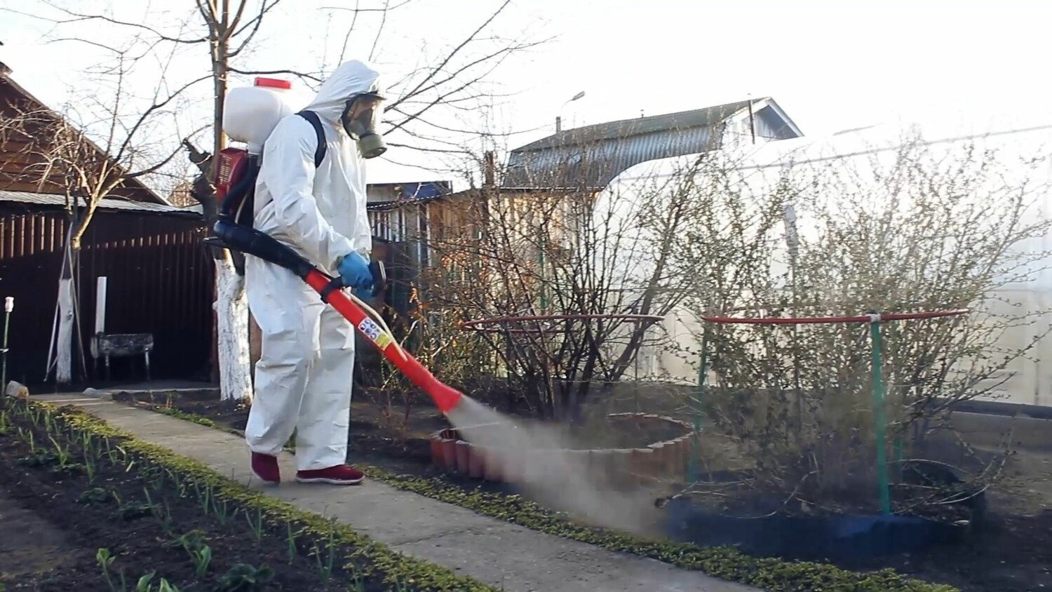 ФОТО Уничтожение муравьёв в Северском