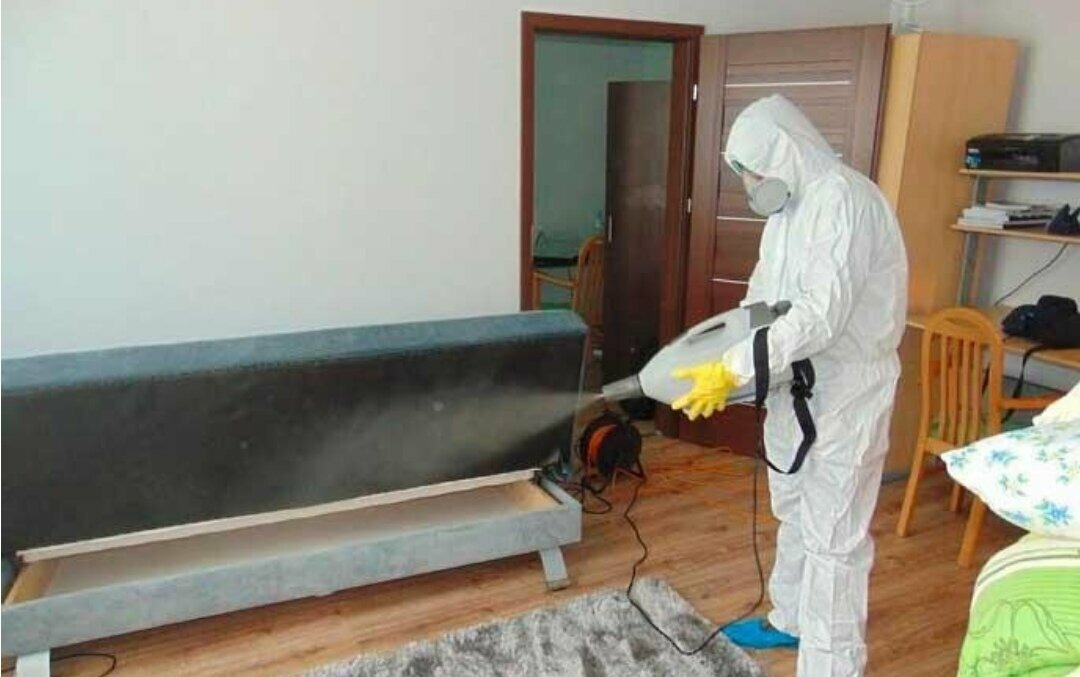 ФОТО Уничтожение блох в Северском