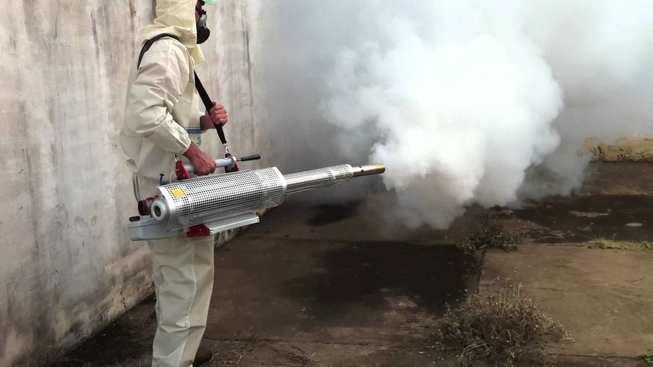 ФОТО Уничтожение мух в Северском