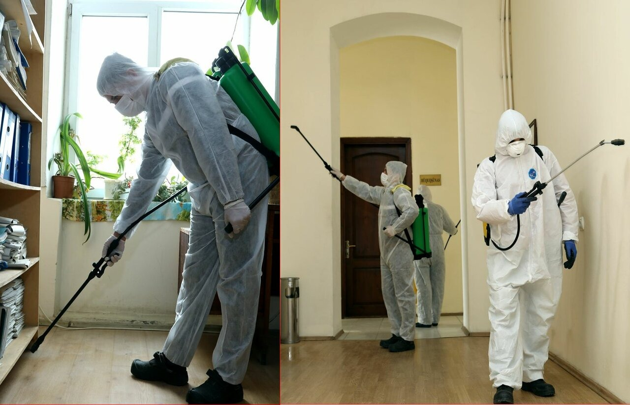 ФОТО Требуется ли лицензия для дезинсекции и дезинфекции в Северском? | подробно