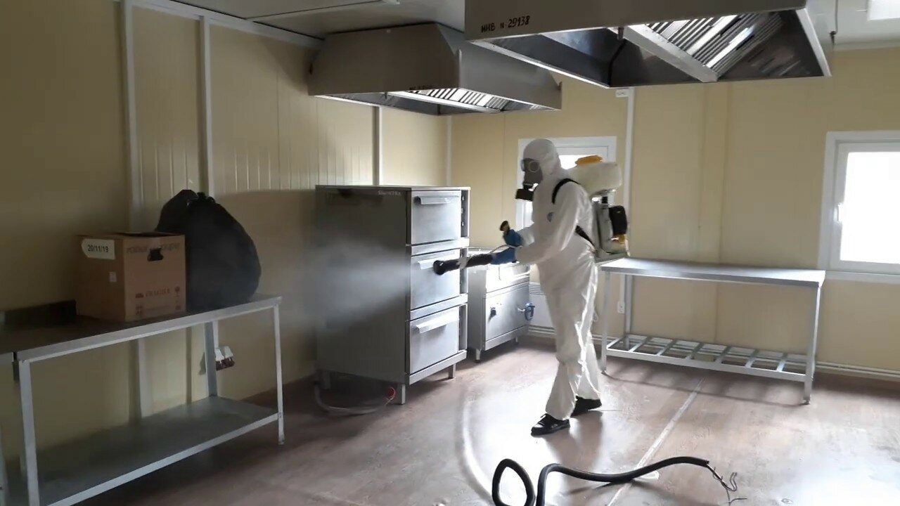 ФОТО Можно ли провести дезинсекцию самостоятельно и какие существуют риски в Северском? | подробно