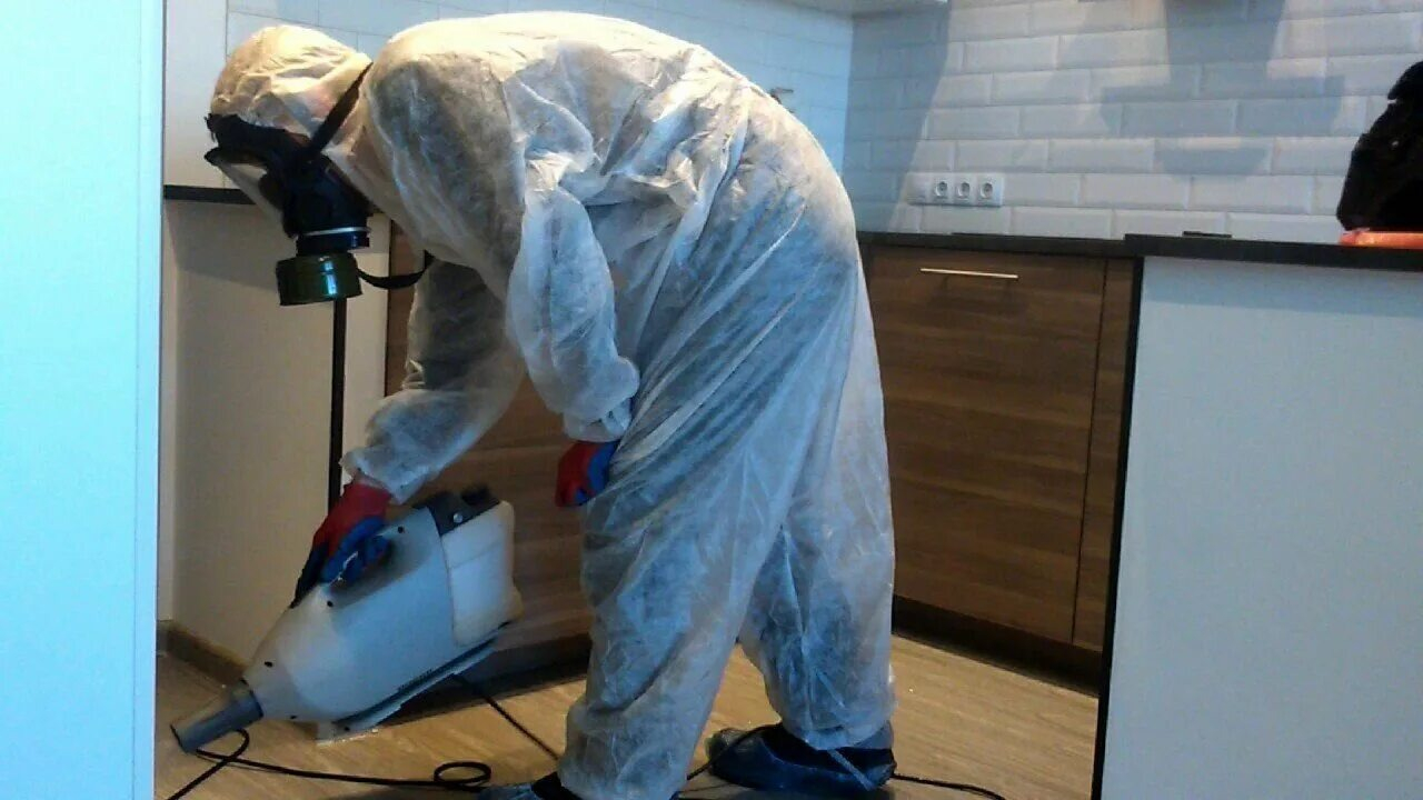 ФОТО Как подготовить домашних животных к обработке от насекомых в Северском? | подробно