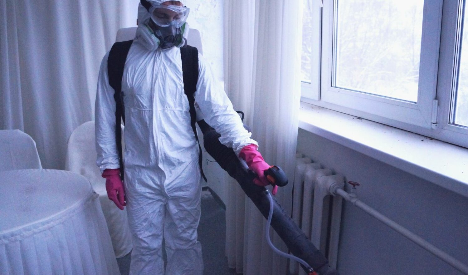 ФОТО Нужно ли выносить растения при дезинсекции в Северском? | подробно