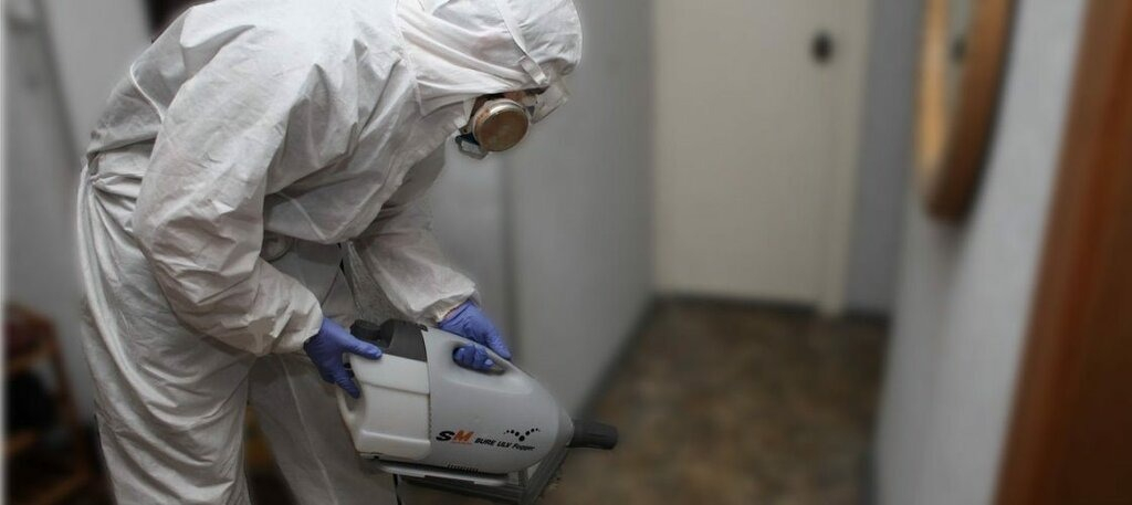 ФОТО Остаются ли следы после обработки квартиры от насекомых в Северском? | подробно