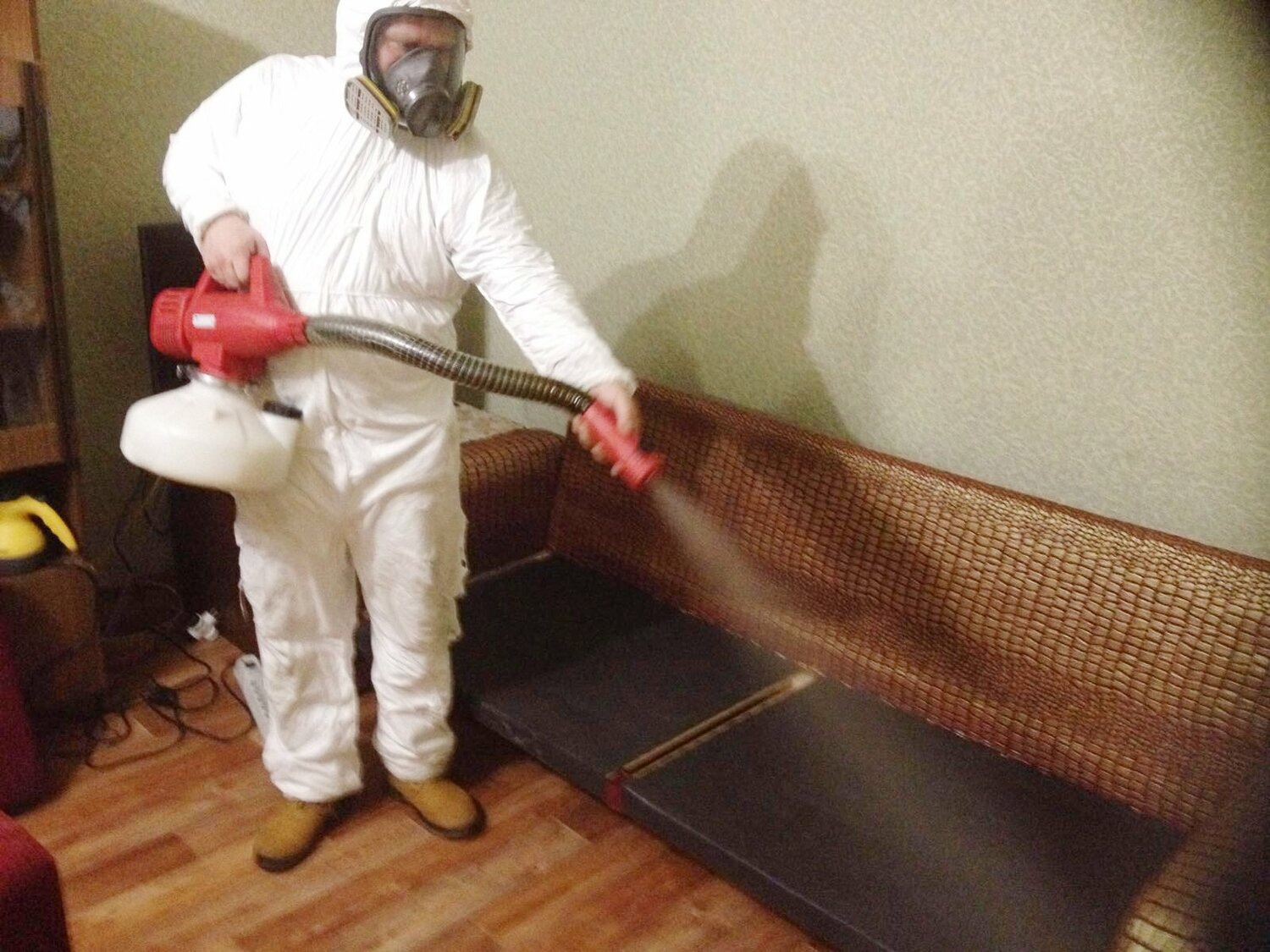 ФОТО Когда можно вернуться в помещение после дезинсекции в Северском? | подробно