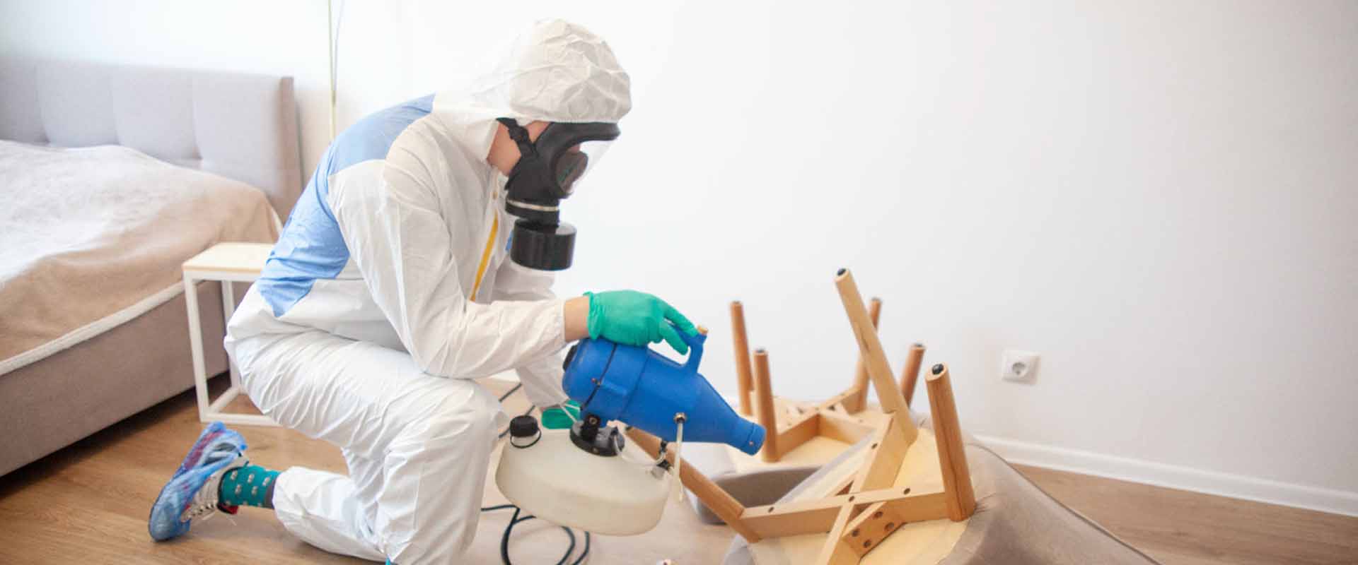 фото: Уничтожение постельных клопов с 1-го раза с гарантией за 30-60 мин. в Северском без предоплаты