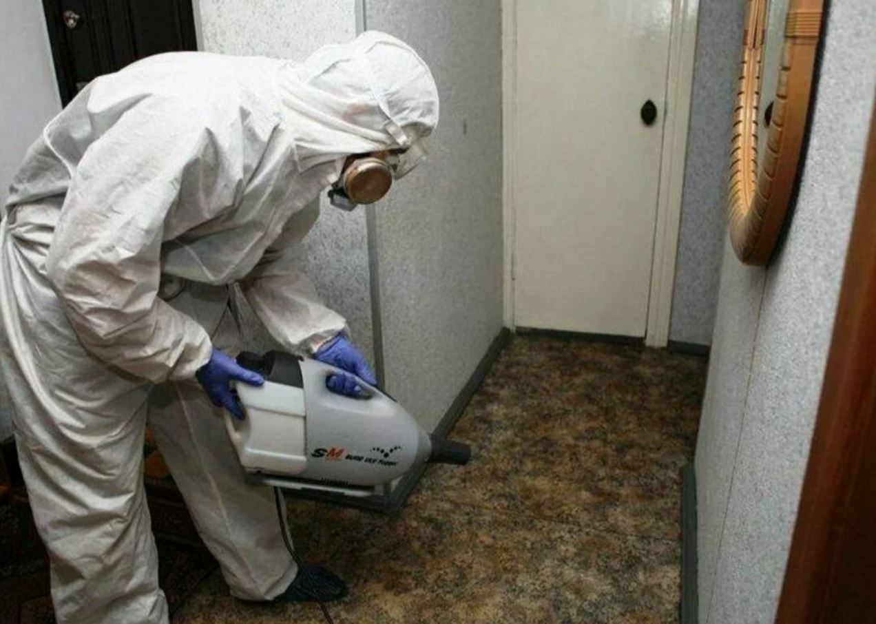 фото: Профессиональная дезинсекция в Северском: <br/>+7-909-173-42-96